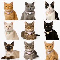 FindMy Cat Collar With PawTag